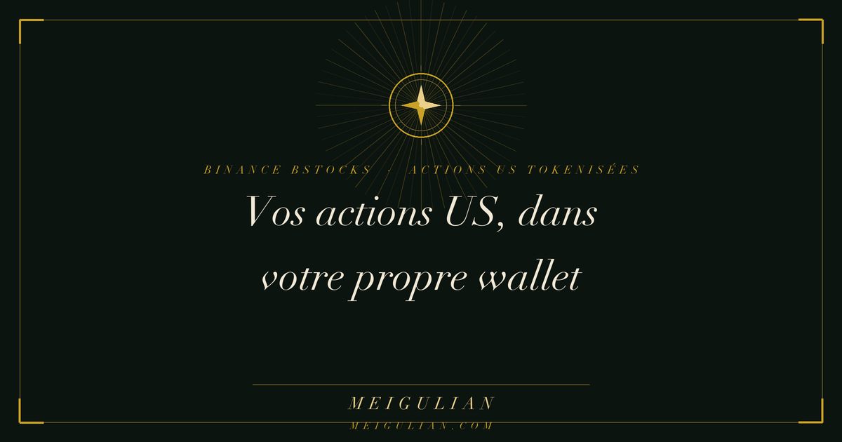 La structure de risque à cinq couches d'une action tokenisée : émetteur, dépositaire, décrochage, réglementation, géographie